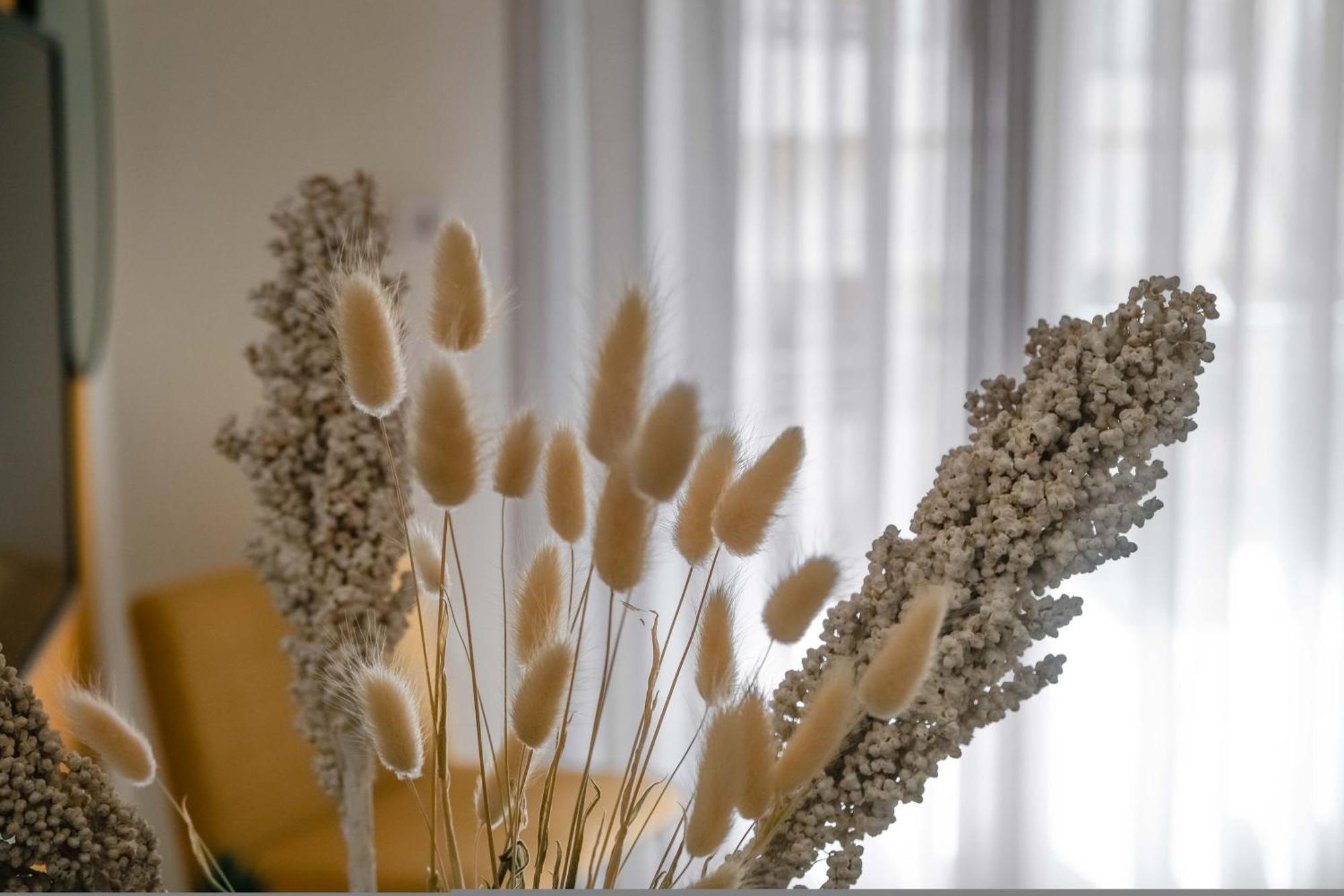 Orsiida Family Apartment Wolos Zewnętrze zdjęcie